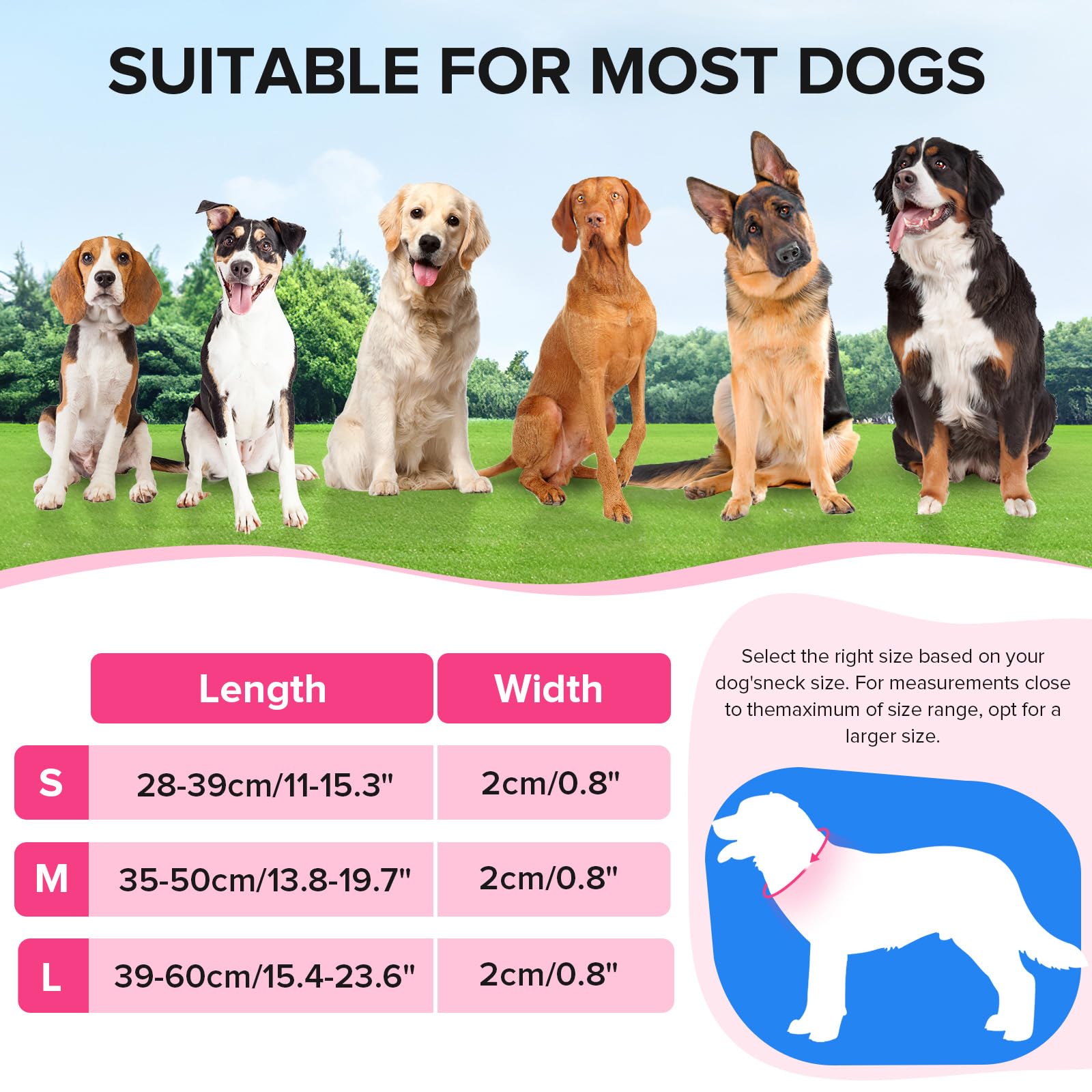 Collare per cani luminoso, regolabile, ricaricabile tramite USB, si illumina al buio, collare impermeabile per cani di piccola taglia (rosa, S)