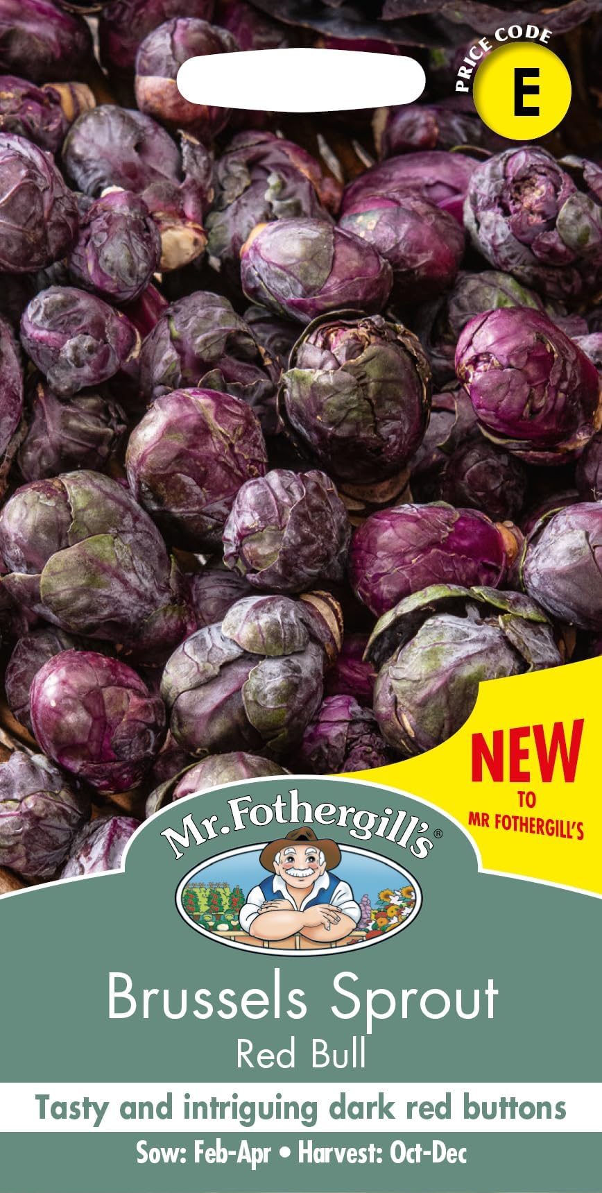 Seeds Brussels Sprout Red Bull Seed