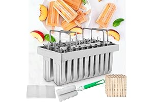 Dyna-Living Stainless Steel Popsicle Molds