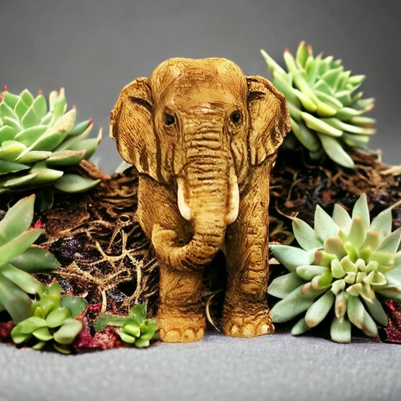 Amazon.com: WitnyStore Tiny 1¾