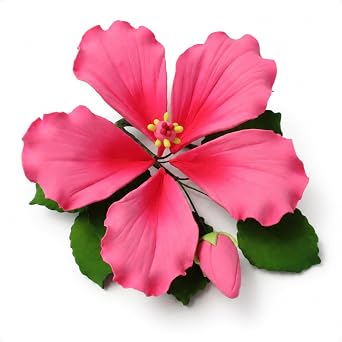 Global Sugar Art 1-Count Large Pink Tropical Hibiscus with Leaves | Sugar hibiscus flowers cake, hibiscus flower cake topper, sugar flowers for cakes