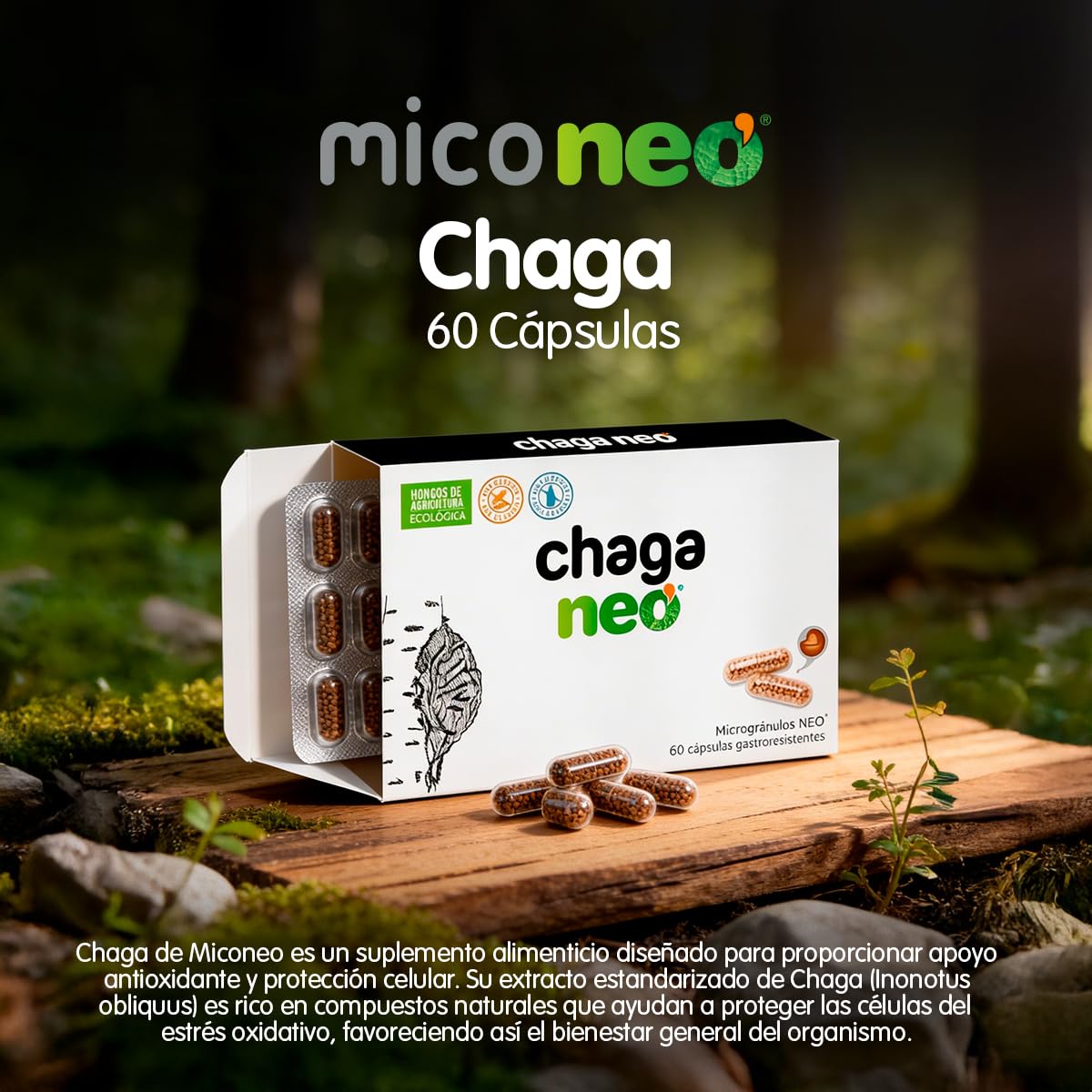 Mico NEO | Chaga Neo | Extracto Seco de Chaga | Hongo Siberiano | Complemento Alimenticio para Favorecer el Sistema Inmunológico | 60 Cápsulas