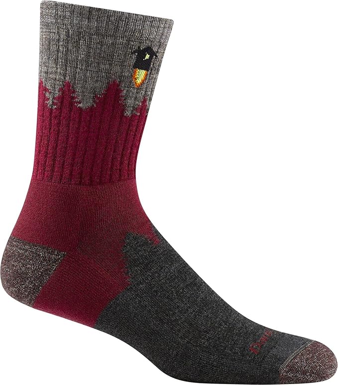 Image: https://m.media-amazon.com/images/I/71lLfhRZhYS._AC_UX679_.jpg Darn Tough Number 2 Micro Crew Cushion Sock - Men39s