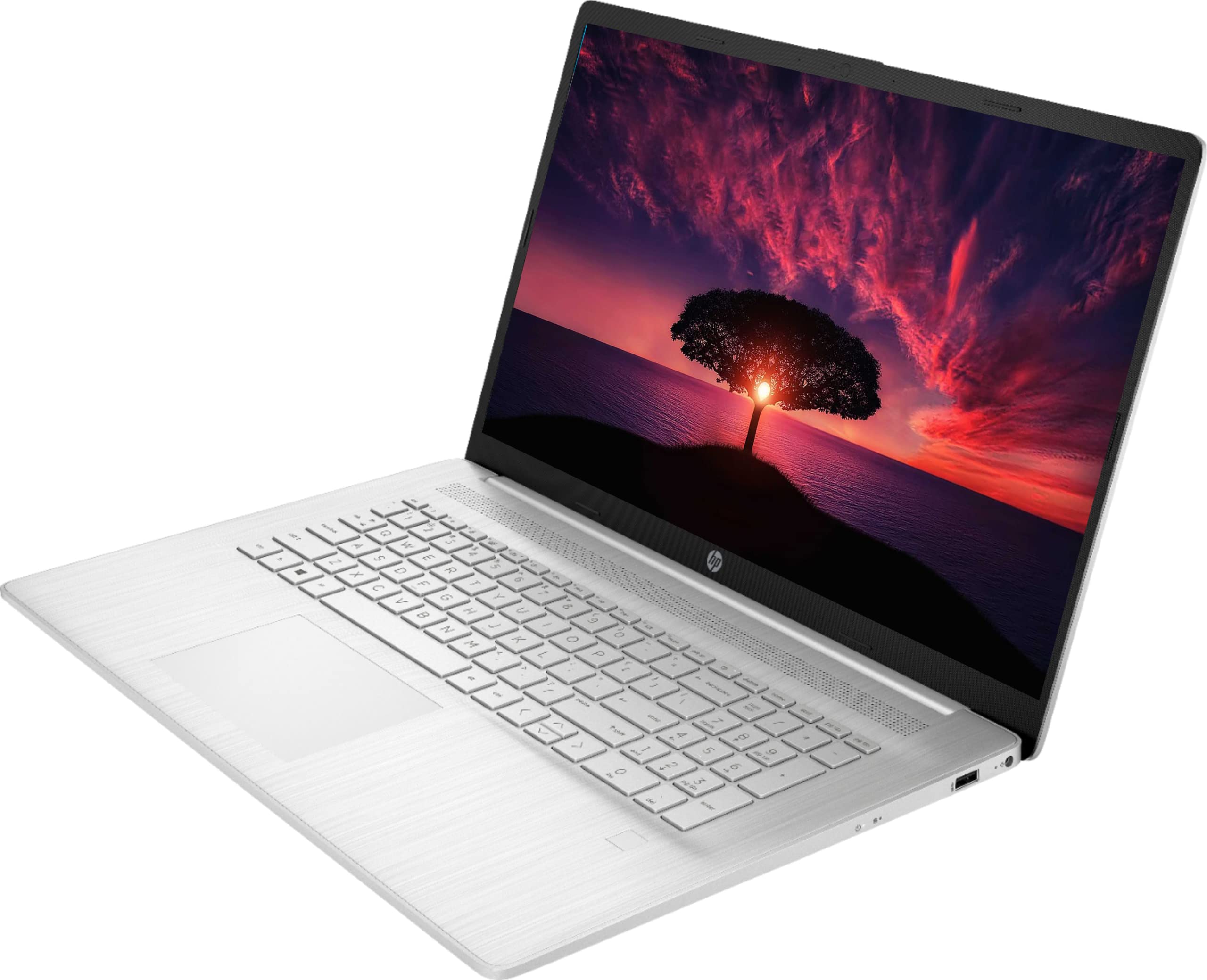 Amazon.com: HP 17.3'' FHD IPS Display Business Laptop, AMD Ryzen 5