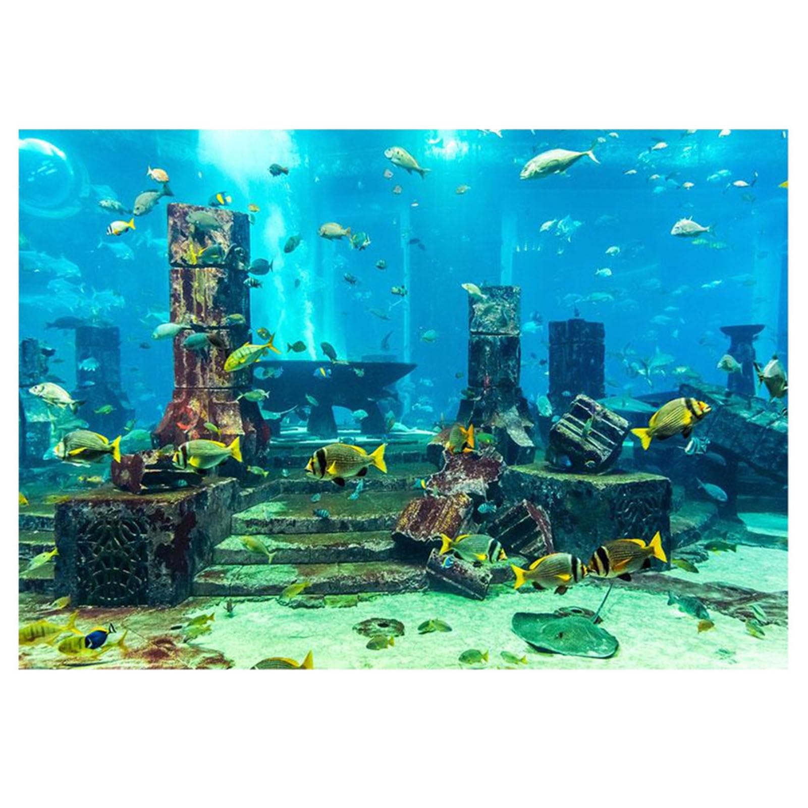 PVC Coral Aquarium Background, Underwater Fish Tank Decorative Backdrop, Adhesive Aquarium Wall Sticker, Thick PVC Ground Cover (61x41cm)