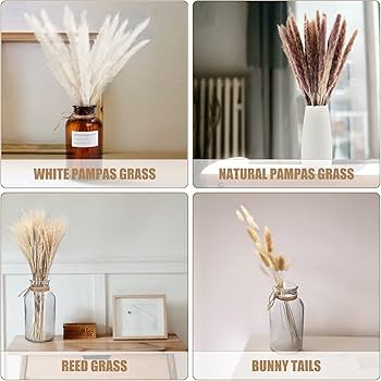 Amazon.co.jp: 天然乾燥パンパスグラスブーケ - 85本 バニー