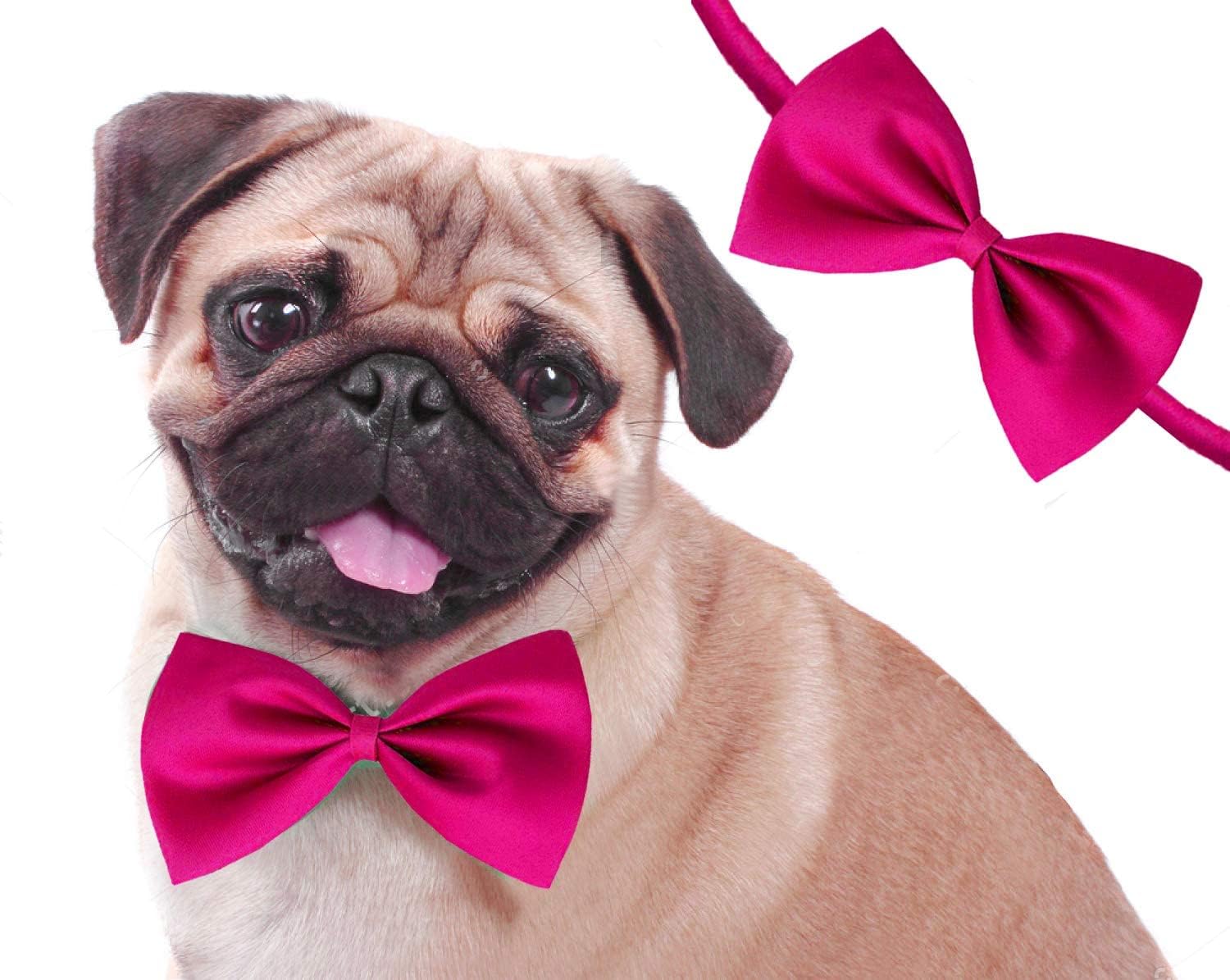 See full amazon price history chart for Dog Trust Jumbo Size Adjustable Fashion Party, Function, Weeding Cum Formal Costume Neck Bow Tie Cum Necktie for Dog/Puppy/Cat/Kitten (Pink) Dog Trust Jumbo Size Adjustable Fashion Party, Function, Weeding Cum Formal Costume Neck Bow Tie Cum Necktie for Dog/Puppy/Cat/Kitten (Pink) (B0C85CVMLQ) Amazon Price History, Amazon Price Tracker