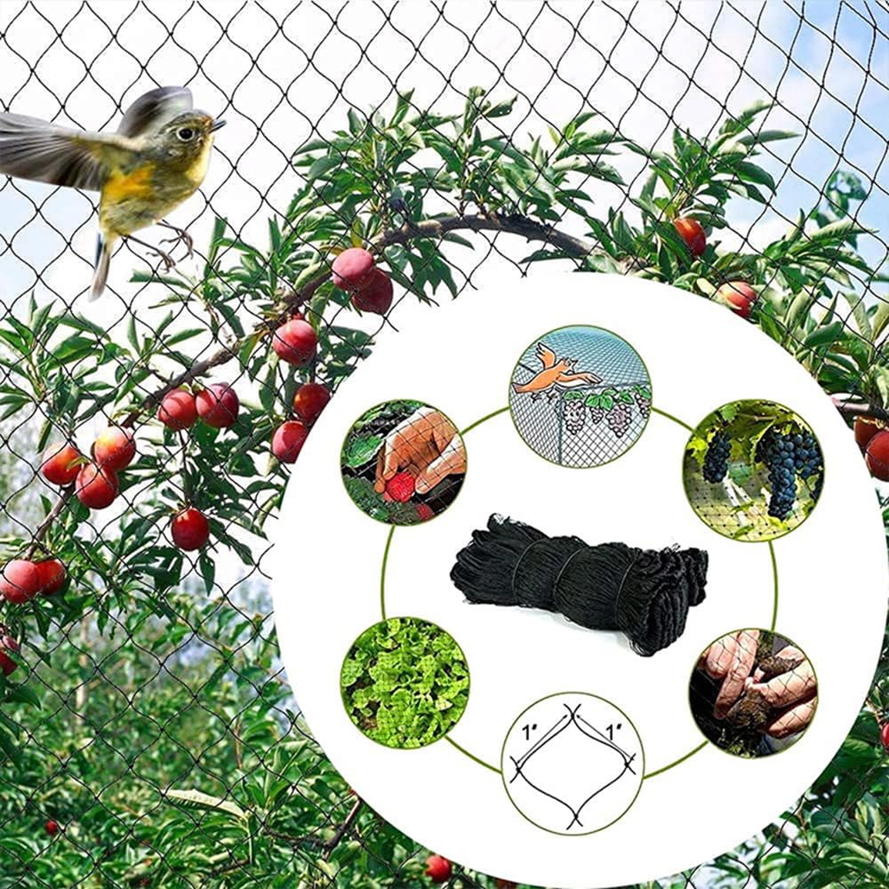 Filet Anti Oiseaux 15m x 15m, 25mm Maille Extra Fort, Pour Arbres Fruitiers, Chats, Réutilisable