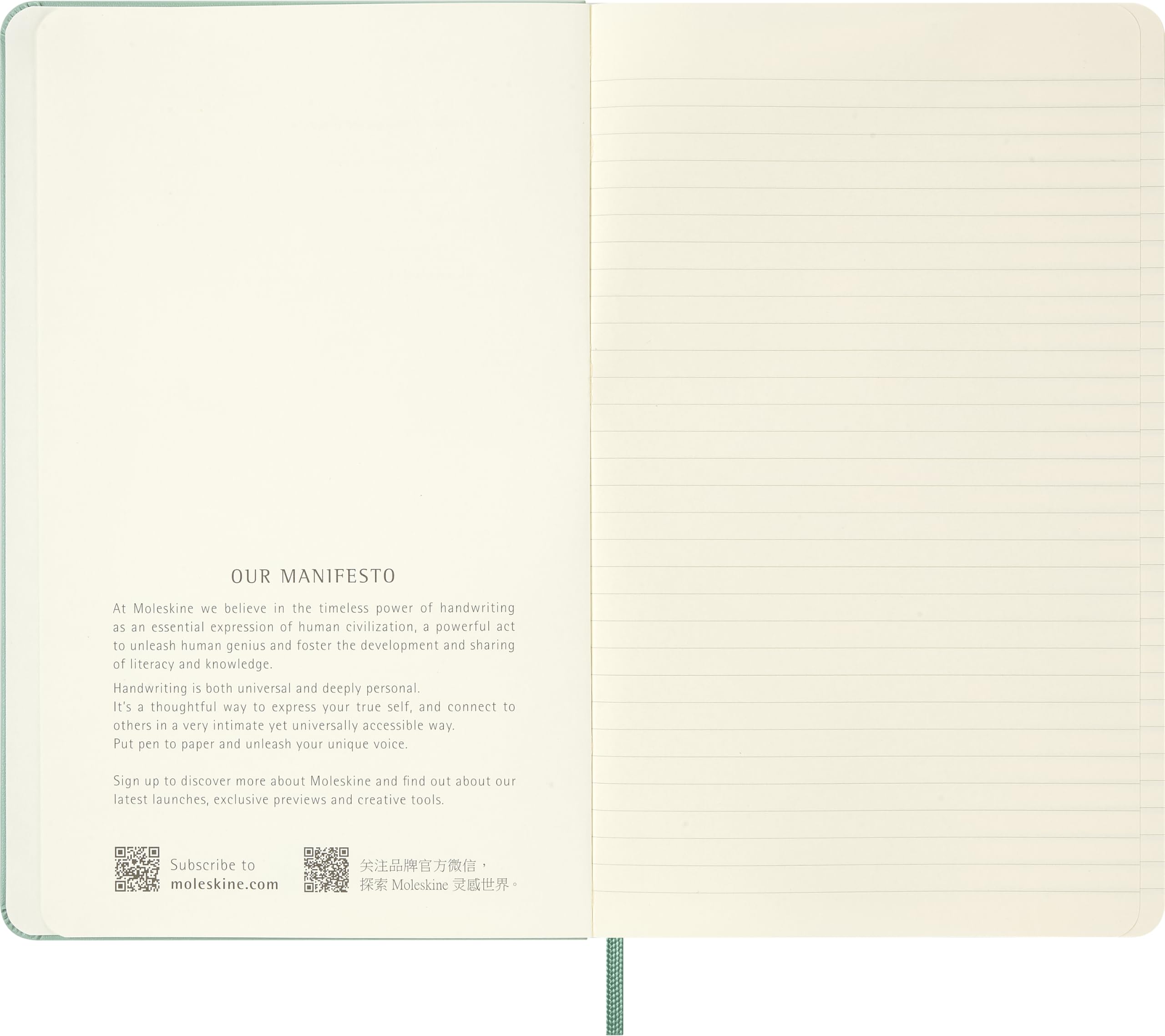 Moleskine Classic Ruled Notebook, With Hard Cover and Elastic Closure, Sage Green, Large Format 13 x 21 cm - Image 4