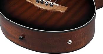 Amazon | Ibanez アイバニーズ フィンガーレスト装備のフレットレス