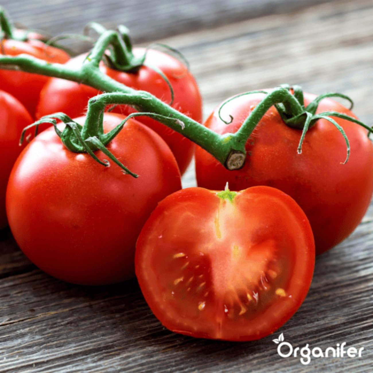 Phytophthora-Konzentrat - 1000 Ml Für 1000 M2 - Produkt Für Kartoffeln Und Tomaten - Pflanzenpflege - Gemüsedünger - Organifer