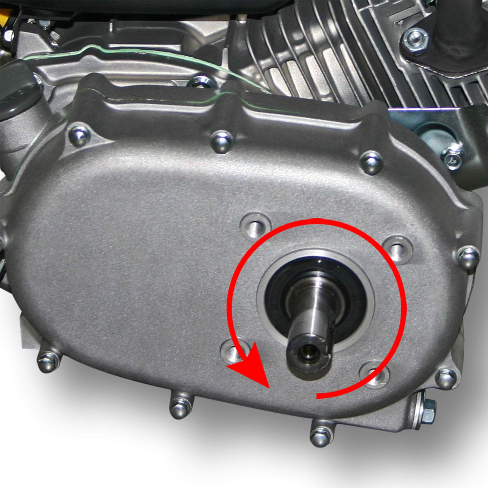 LIFAN 168 Benzinmotor 4,8 kW 6,5 PS 196 ccm mit Ölbadkupplung und Reduktionsgetriebe 2:1 Kartmotor