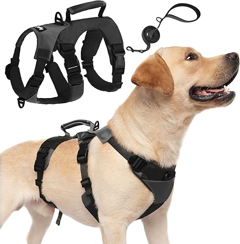 PUPTECK Arnés para perro a prueba de escapes, chaleco ajustable sin tirones y correa de doble asa, suave asa acolchada de elevación para perros
