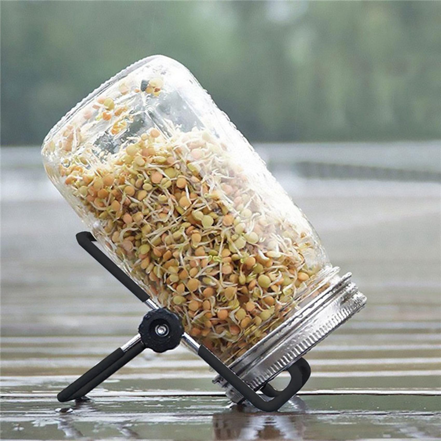 Kit de couvercle de germination for graines germées, ensemble de pots de germination avec support, couvercle de filtre, pot de germination