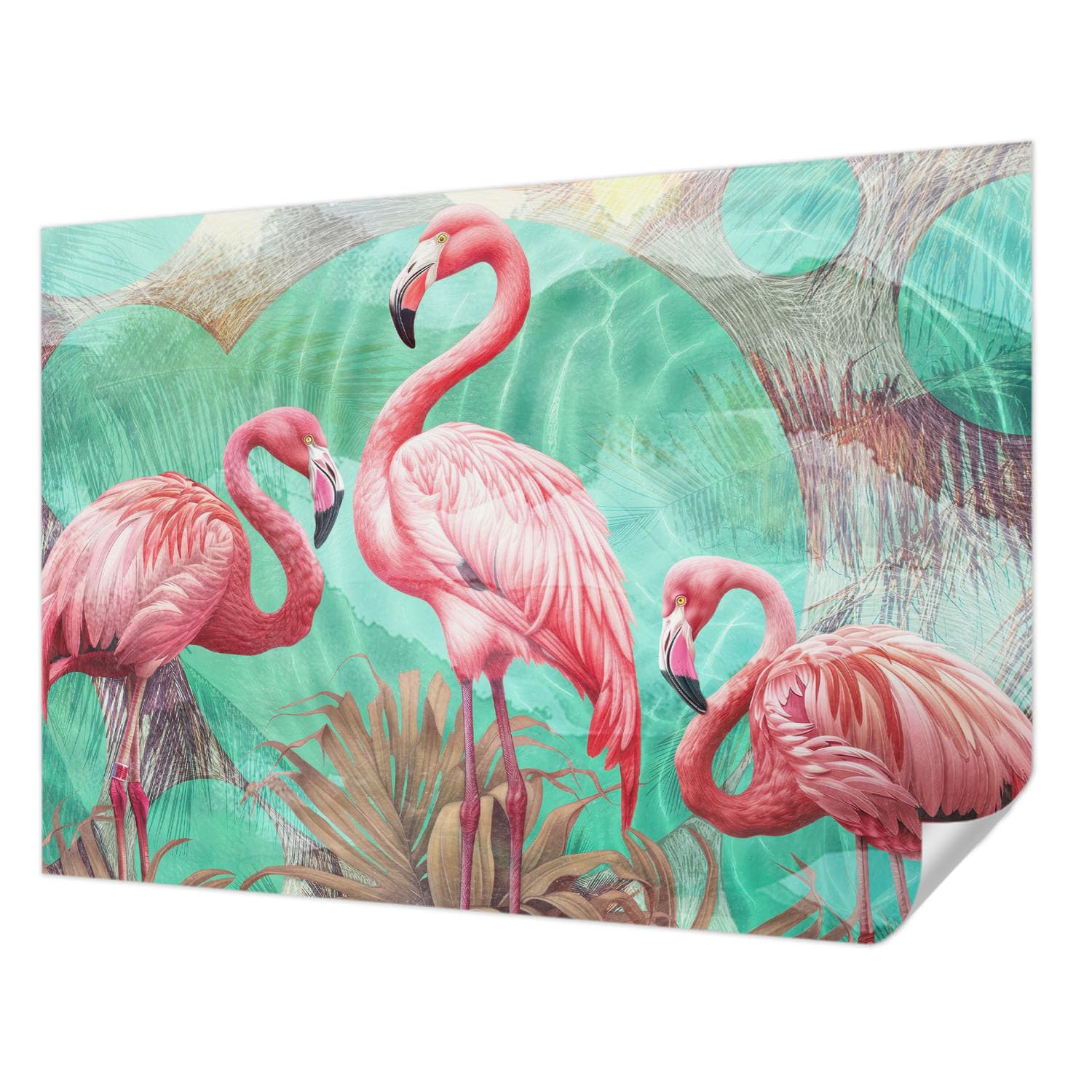 Papier peint panoramique oiseaux exotiques 208x146 cm pour mur de salon