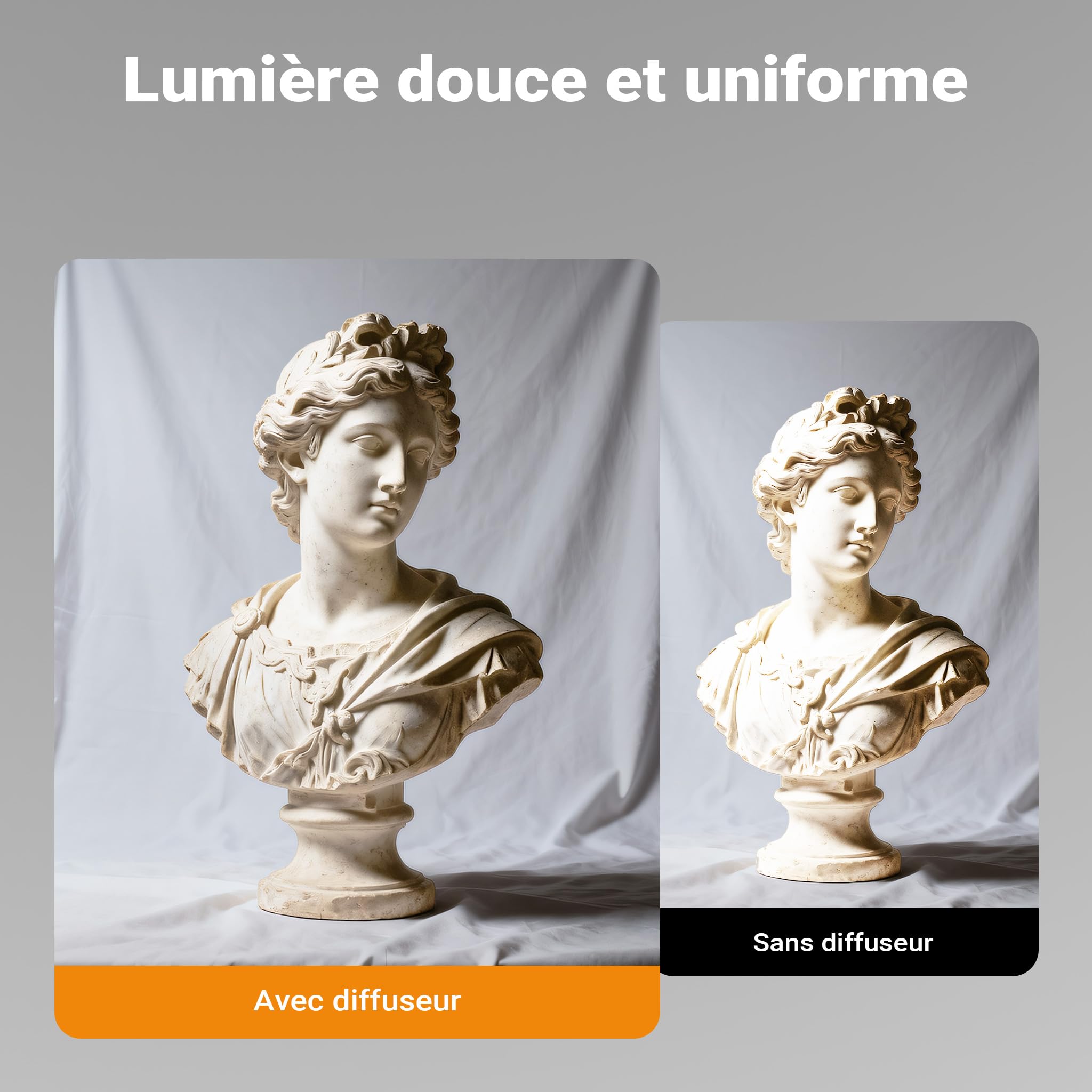 Walimex pro Diffuseur pour parapluies réflecteurs paraboliques Ø 165 cm – Diffuseur de lumière pour Une lumière Douce et homogène dans Les Studios Photo et la Photographie de Portrait