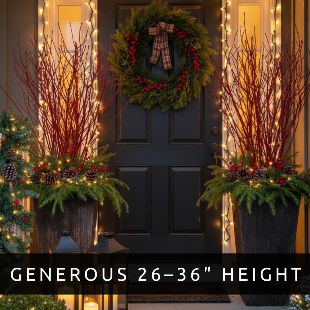 Red Dogwood Branches – Stems, 26–36" Tall – 100% Natural Red Twig Vase Filler for Winter & New Year Decor, Centerpieces, Wedding Arrangements, Mantel Displays & Holiday Styling (10 Branches)