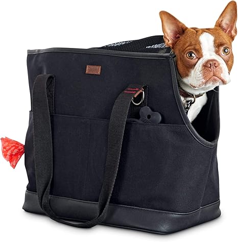 best flea and tick product for dogs