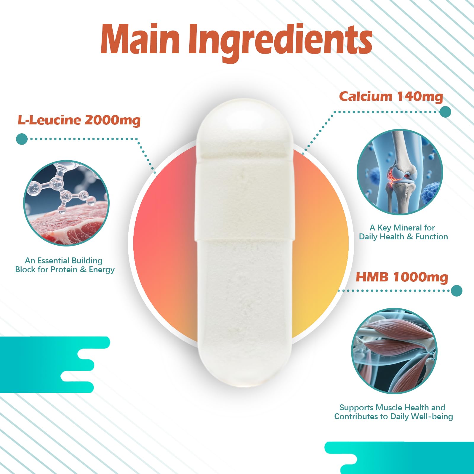 ABYSSUS Leucine & HMB Capsules, 3000mg Vegetarian Supplement — Amazon image 2