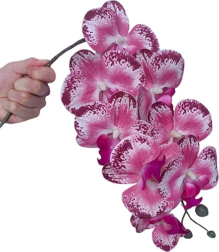 Miniatura 25 de FagusHome Phalaenopsis - Flores artificiales de 32 pulgadas, 6 piezas de orquídeas artificiales con tallo para decoración del hogar (rosa)