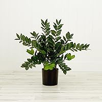 Vista 8 de Nearly Natural Planta artificial de zamioculcas de 28 pulgadas con maceta decorativa