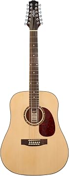 أشتون D25 / 12NTM 12-String Acoustic Guitar Natural Wood