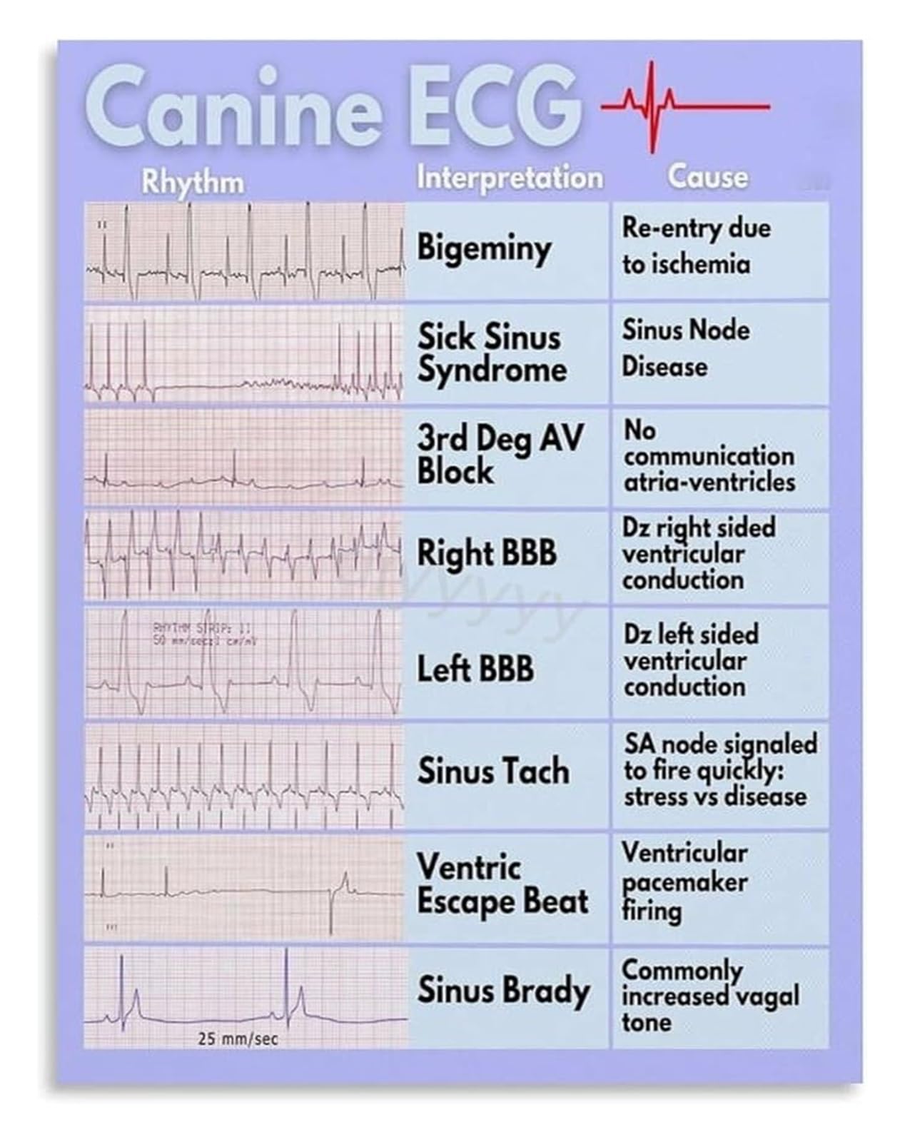 PKNVKZIDK Animal Hospital Style Decor ECG Quick Reference Canvas Poster For Clinic Or Home Library Animal Theme Wall Framed,08x12inch(20x30cm)