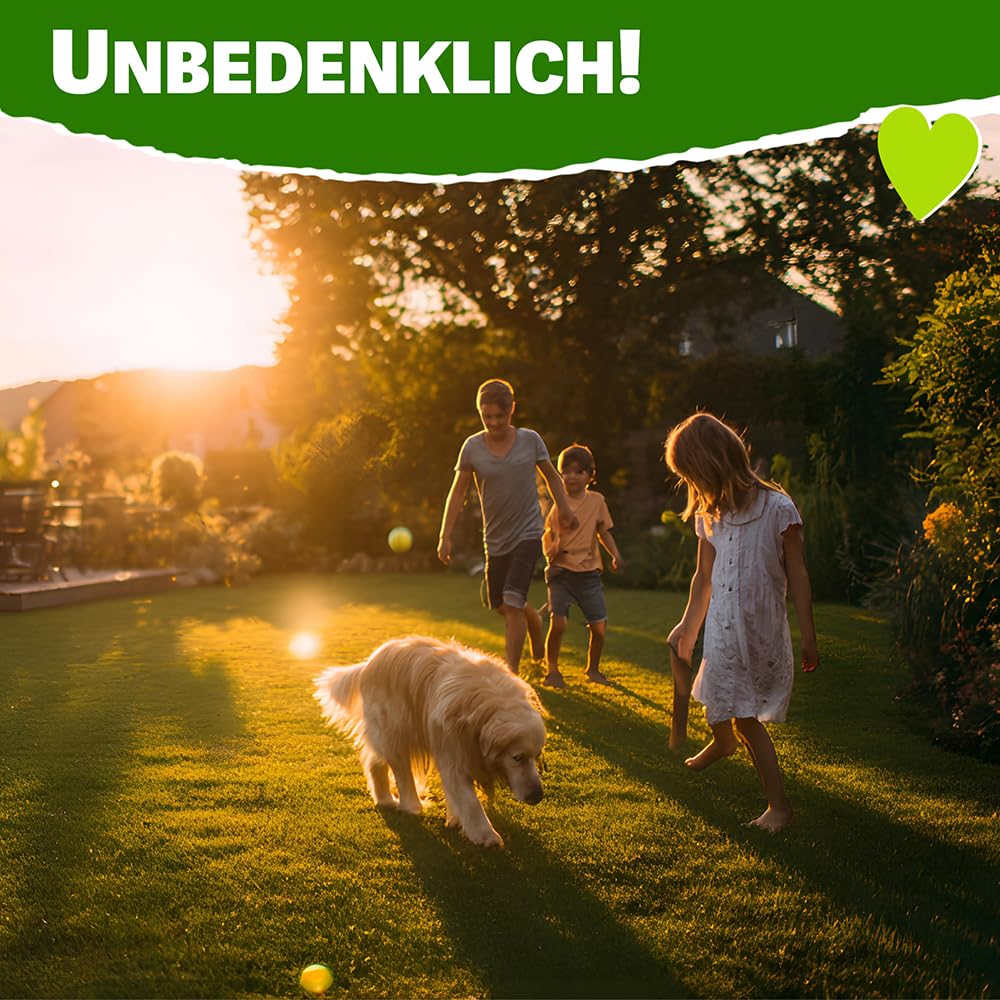 RasenHerz, 25 kg für 100m² Rasensand für dichten, grünen Rasen Rasenpflege, Bodenverbesserer, Nährstoffe, Diabas petigi