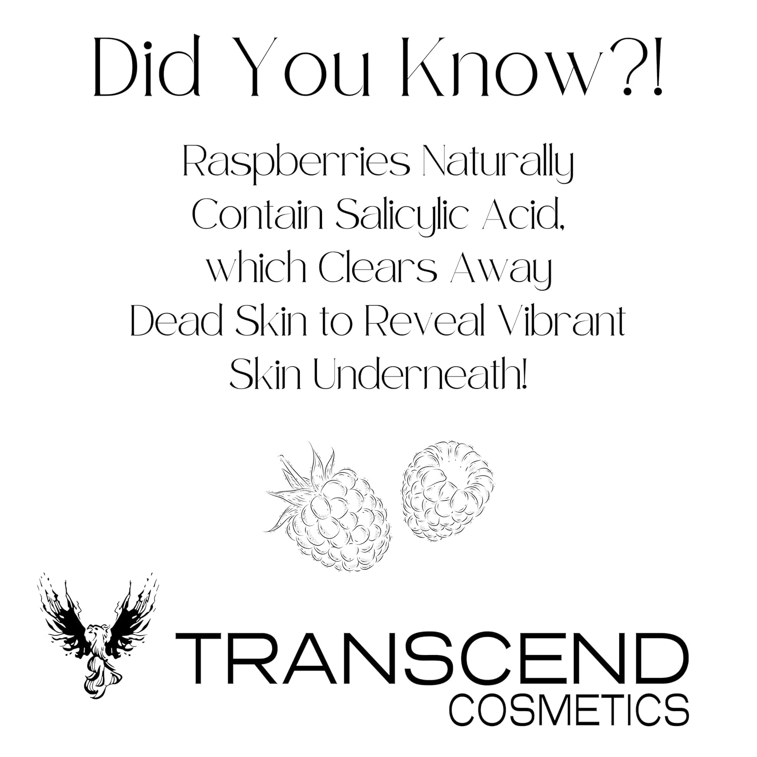 Exfoliating Facial Scrub - Image 3