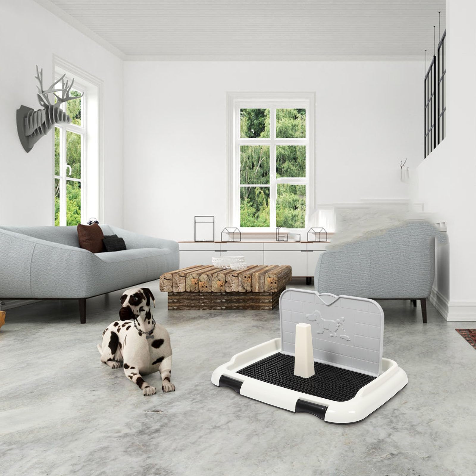 FOMIYES Toilette pour Chien Antidérapante, Bac D’apprentissage Propreté pour Chiot, Plastique Robuste, Petite Taille Mur, Intérieur et Apprentissage Propreté