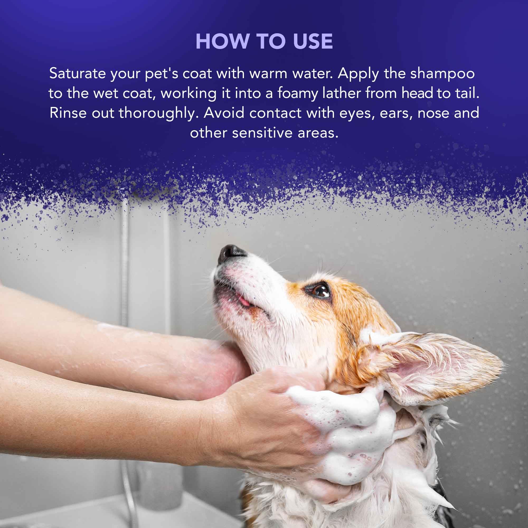WAHL Diamond White Animal Shampoo 5 L éclaircissant concentré 15:1 végétalien sans parabènes