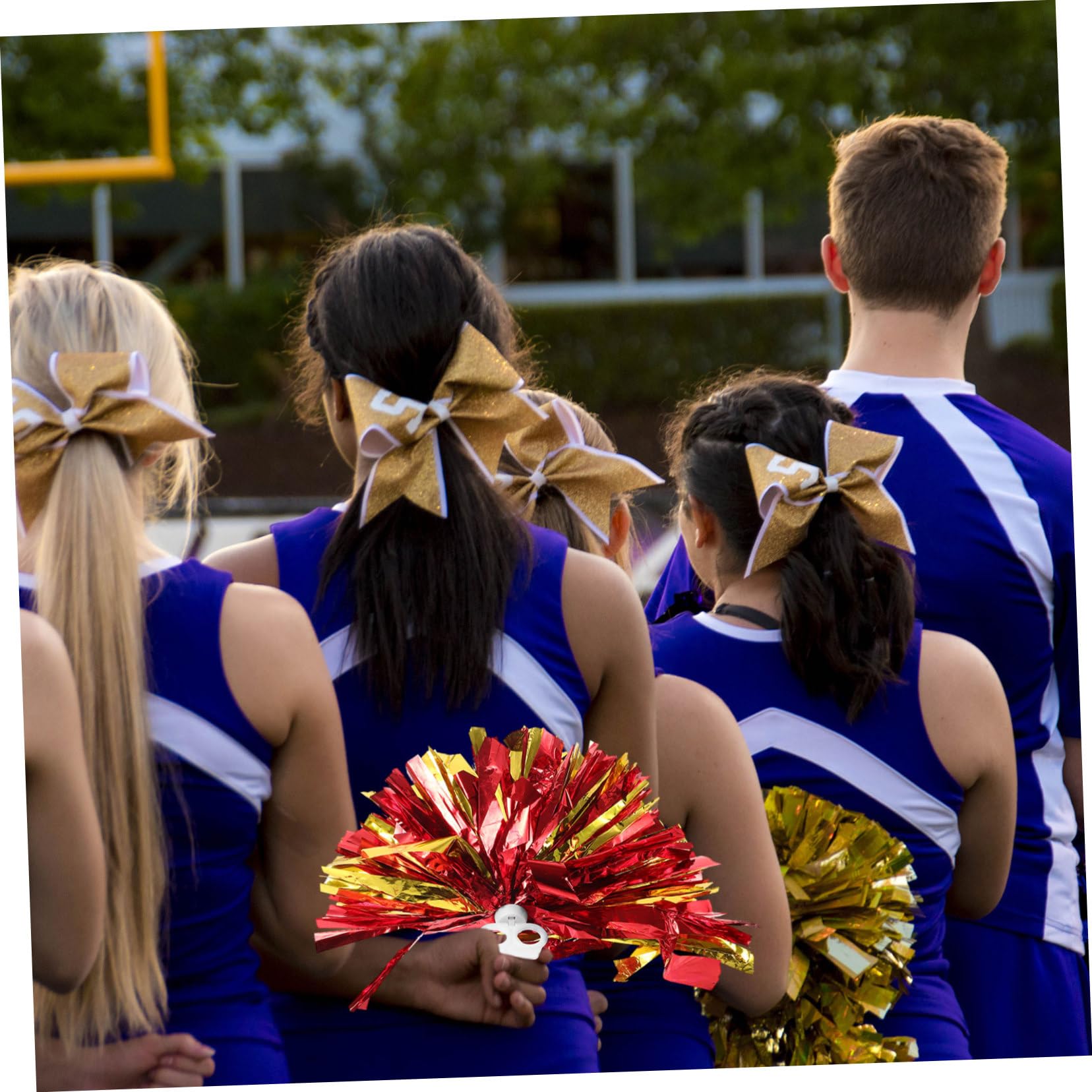 VANZACK Hand-cranked Flowers Cheerleading Props 6pcs Pink Pom Poms Portable Cheerleader Accessories for