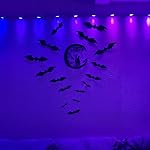 Review Image by Jacqueline Arias Jacqueline Arias