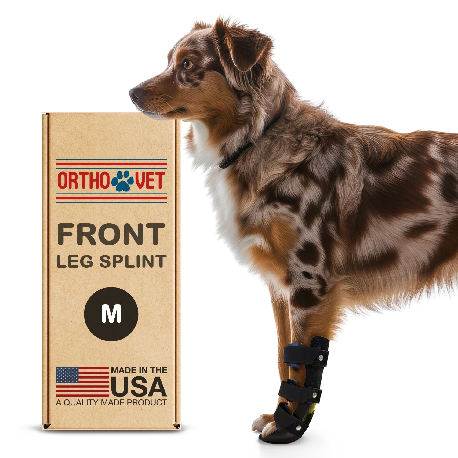 OrthoVet Standard Front Splint for Dogs with Arthritis or Injuries (M)