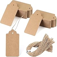 SallyFashion 100 Pack Kraft Paper Gift Tags with String, 2x4 Inch Pre-Punched Hang Tags for DIY Crafts, Weddings, Holidays - Brown