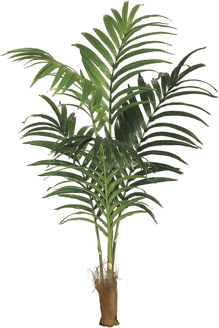 Silk Plants Direct Kentia Palm Tree (Pack of 1) Artificial
