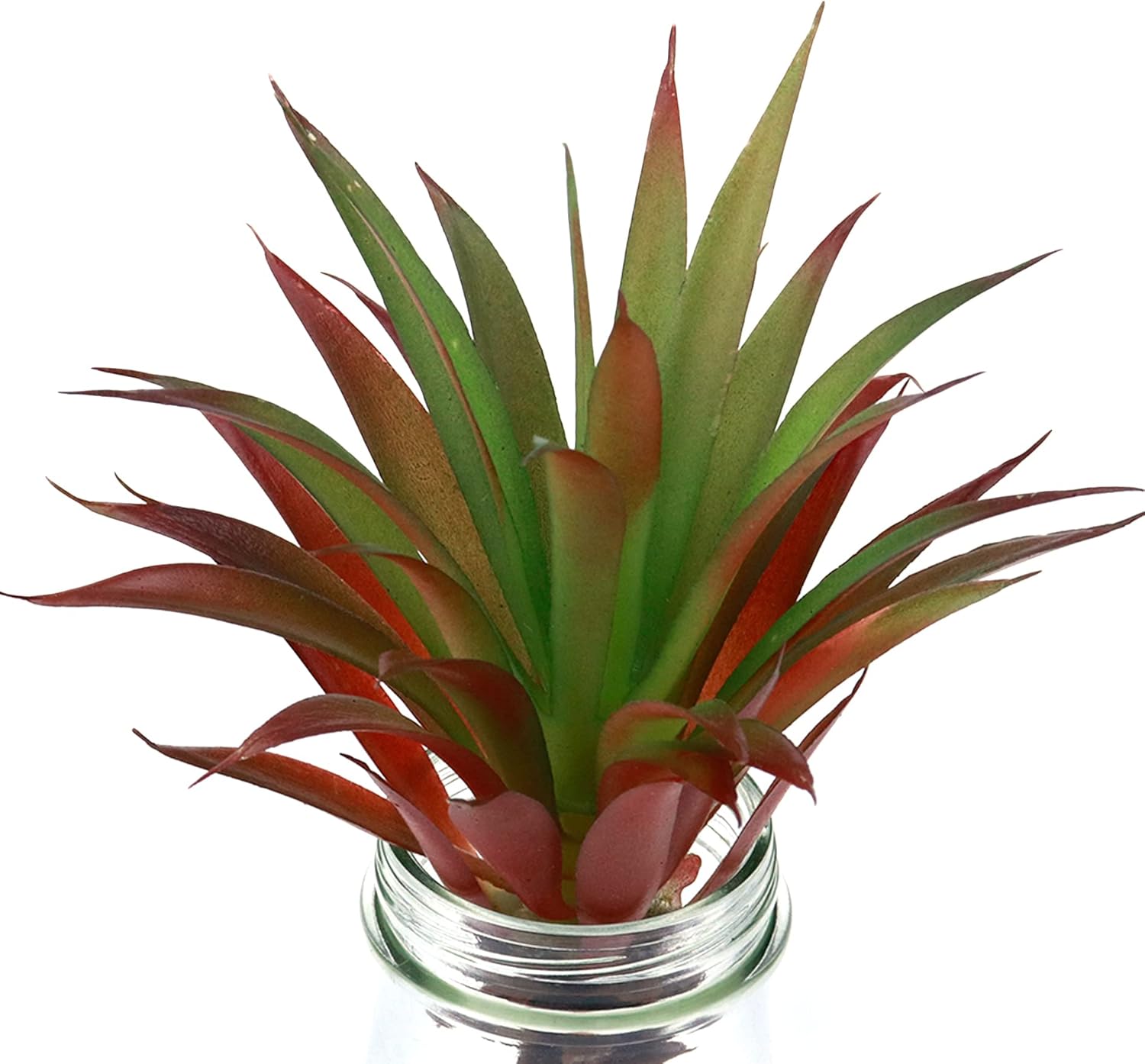 HEVSTIL 2Pack Artificial Faux Succulent Yucca Vera Greenhouse Small Plants, Simulated Succulents Unpotted Fake Succulent Artificial Succulents Plants for Home Kitchen Garden Decor(Autumn Green) - Image 4