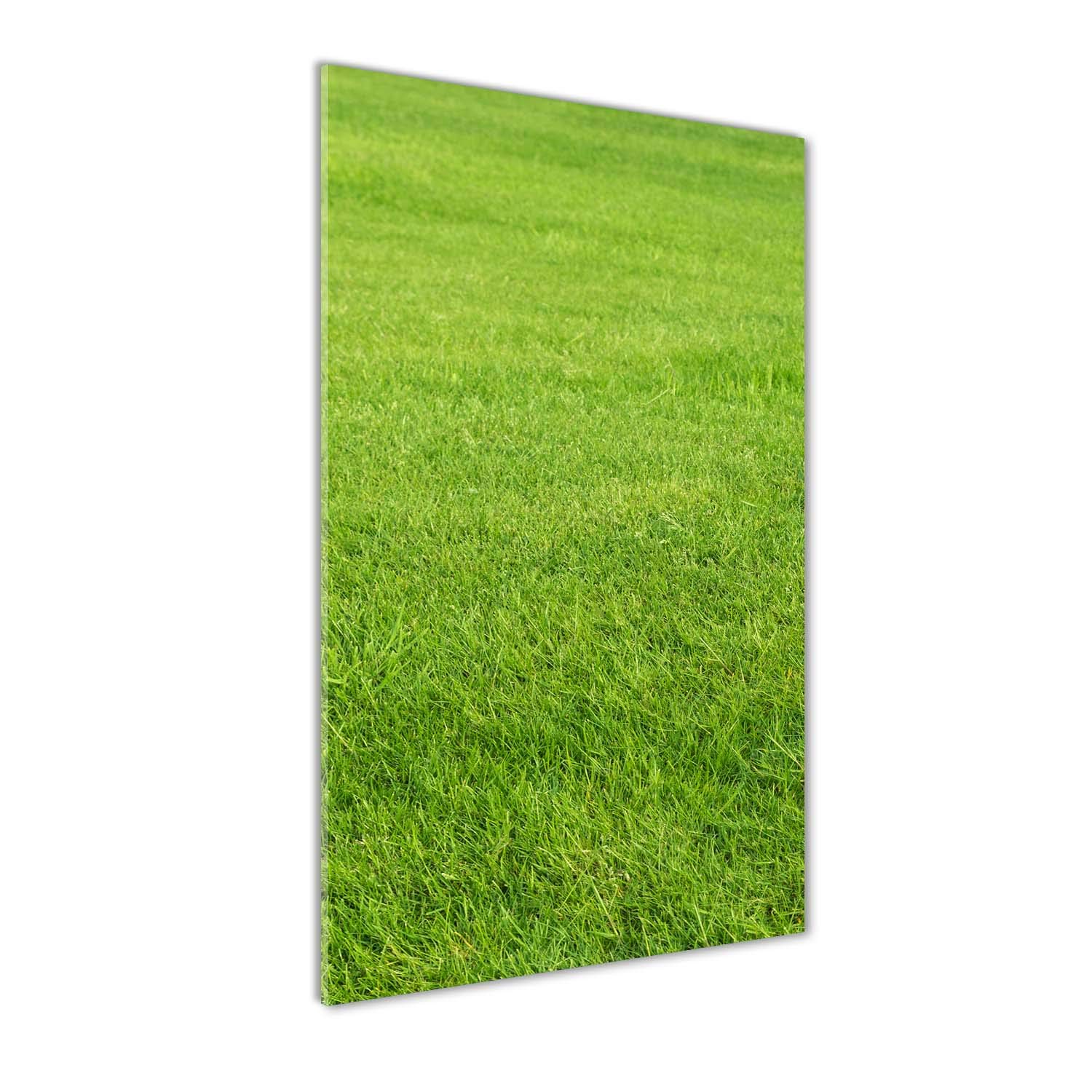 Mural art acrylique Tulup anti-reflet et incassable pour habiller un mur vide