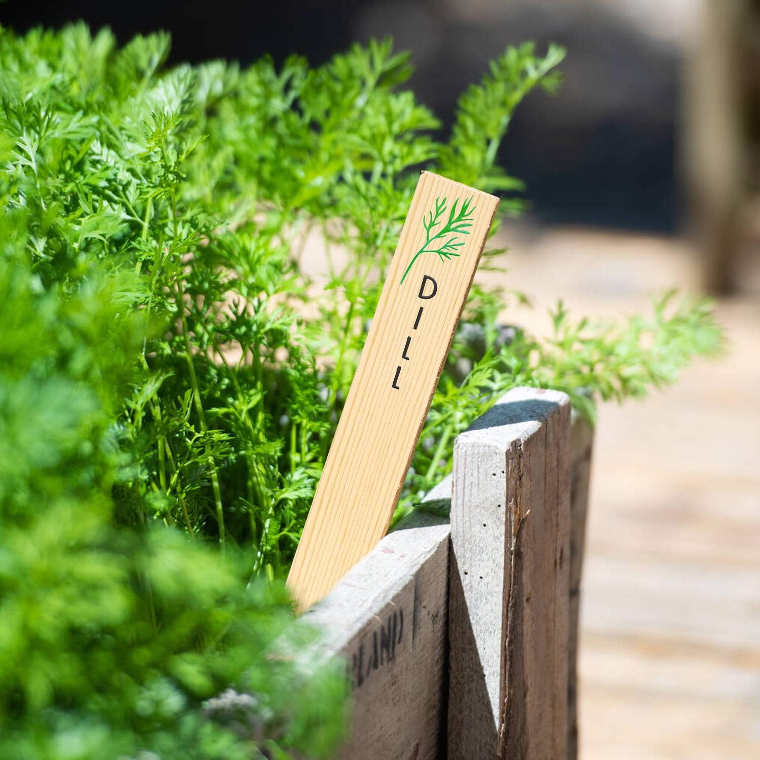 Huray Rayho 12PCS Wooden Indoor Herb Plant Labels Signs - Assorted Indoor Garden Stakes - Re-Usable Plant Tags - Image 5