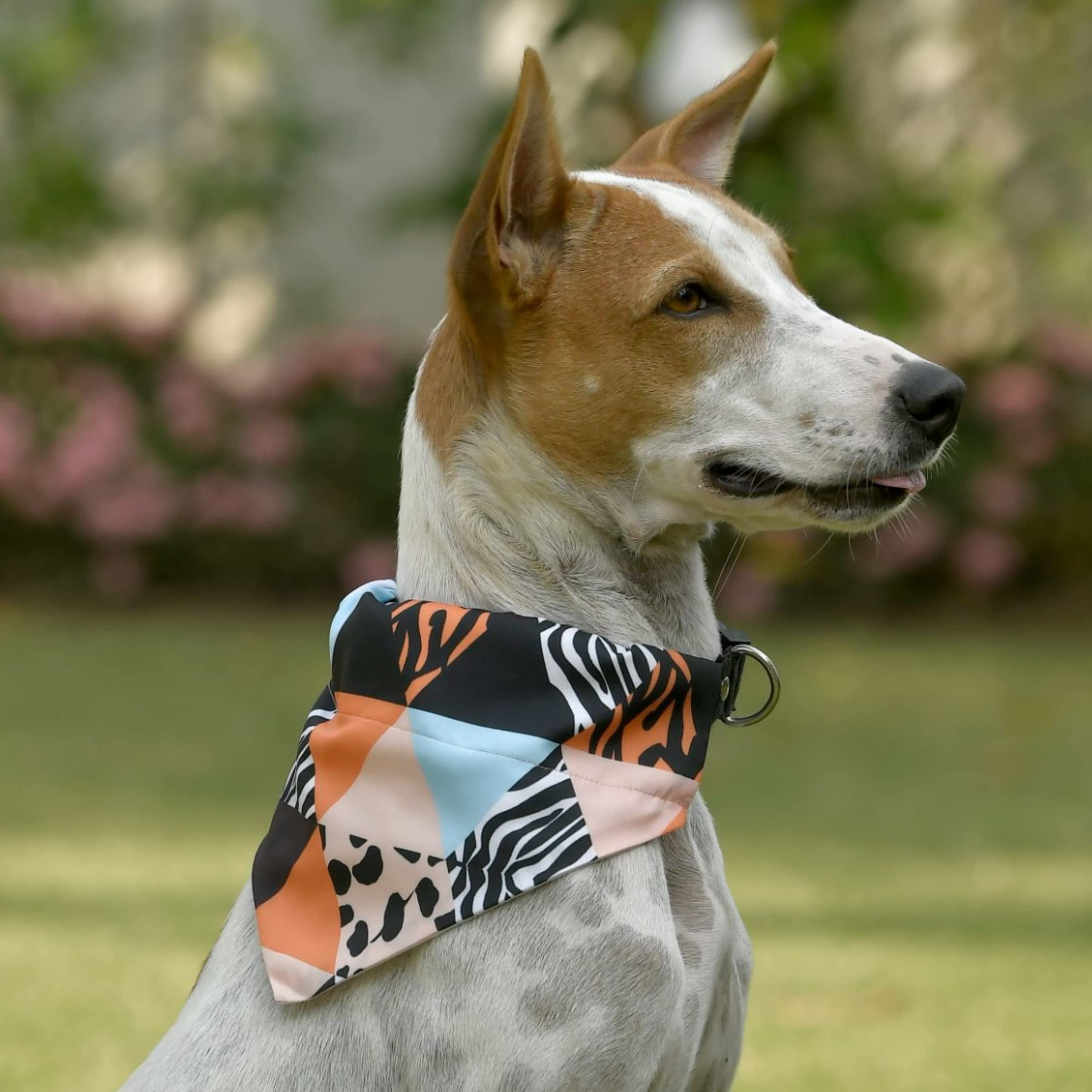 GROOMSOME Multi Coloured Dog V-Bandana/Dog Scarf (Size: Large) (B09L589NQV) Amazon Price History, Amazon Price Tracker