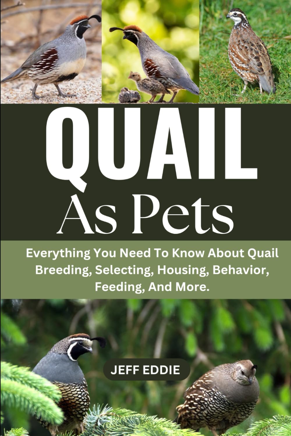 QUAIL AS PETS: Everything You Need To Know About Quail Breeding, Selecting, Housing, Behavior, Feeding, And More.