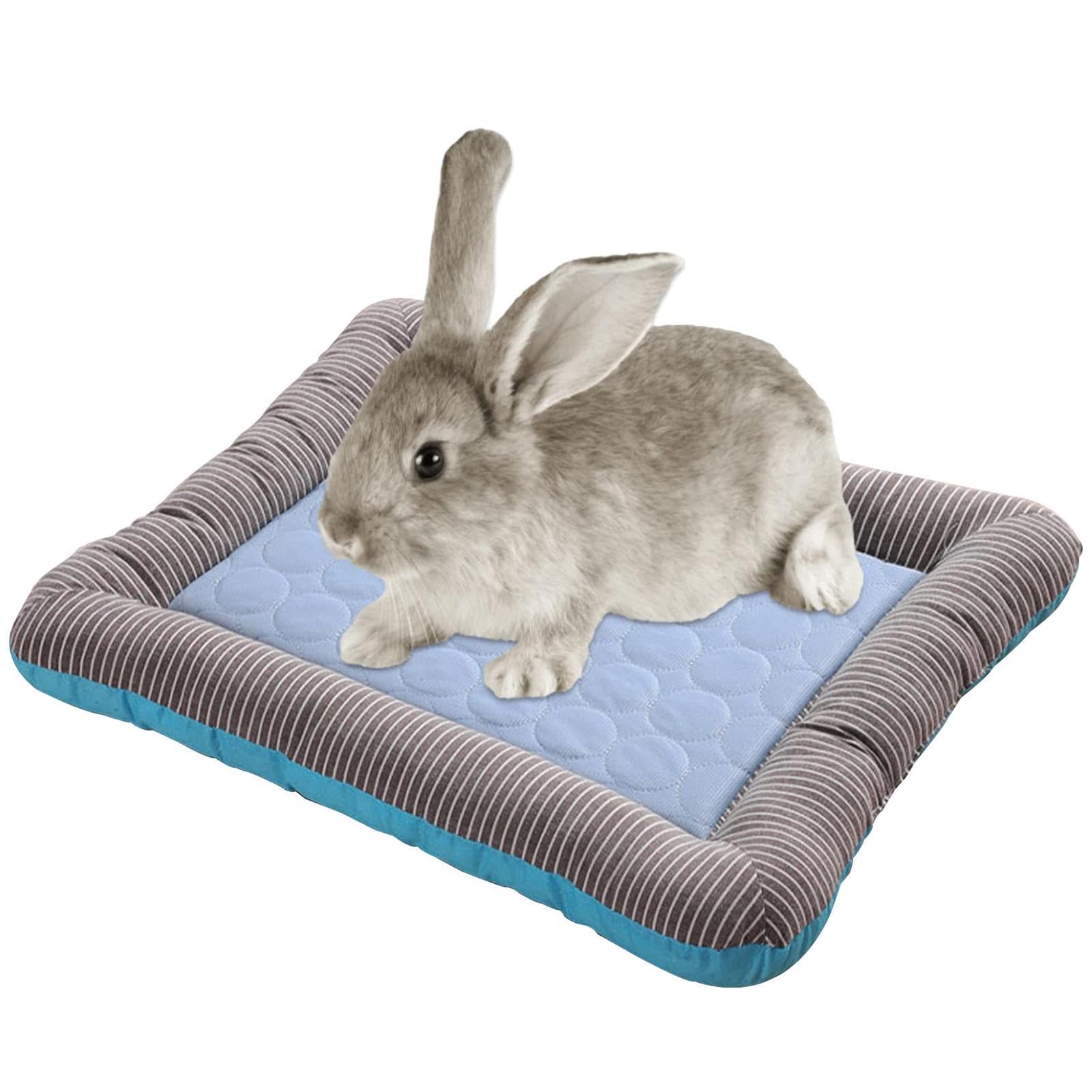Tapis de refroidissement pour chien au salon ou en voyage d'été