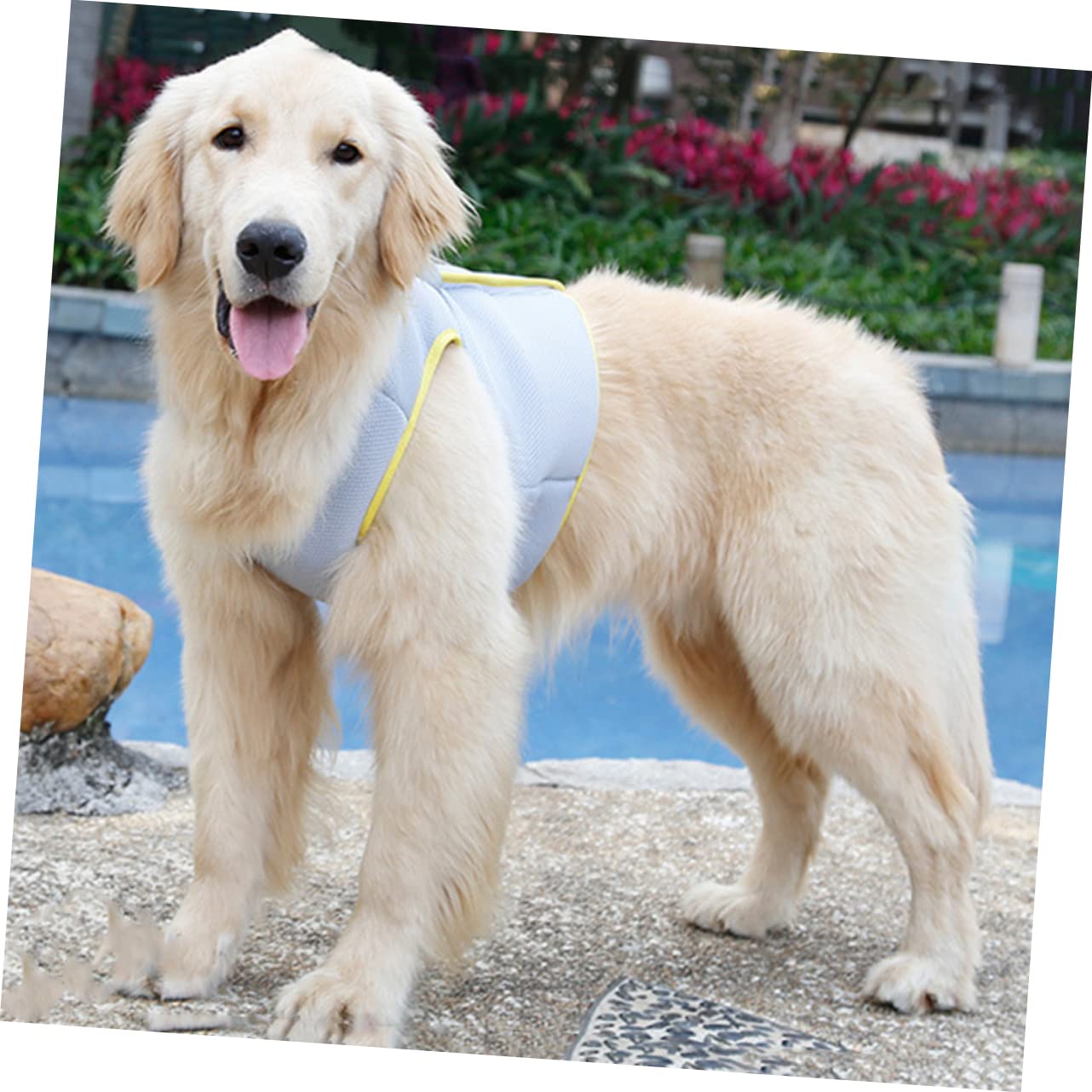 FOMIYES 3pezzi Gilet Rinfrescante Cooling Traspirante Per Attività Estive Facile Indossare Assorbe Fibbie Nascoste Per