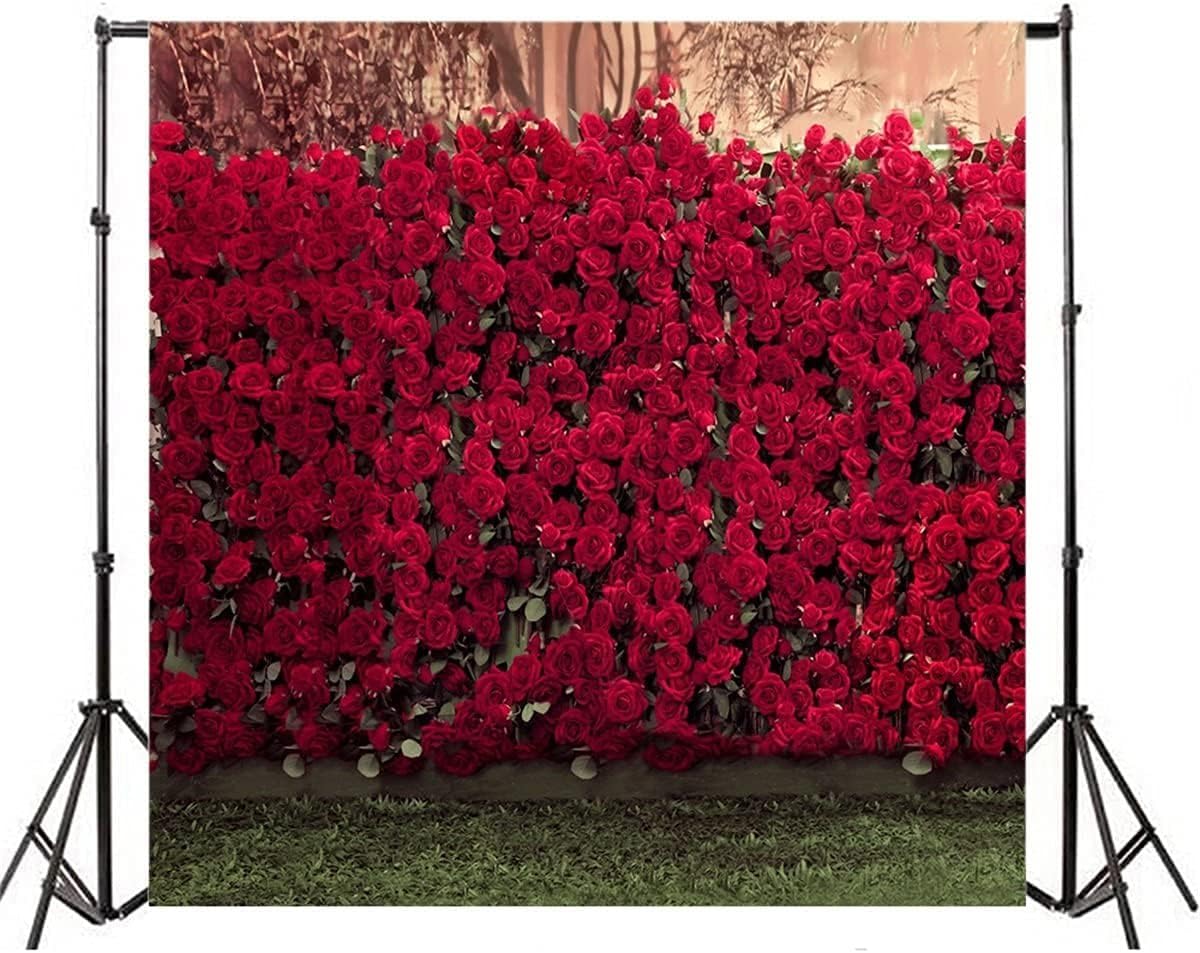 8x8ft Portrait Backdrops Photography Wedding Background Manor Romance Red Rose Flowers Wall Blurry Grassland Lovers Anniversary Decor Kid Girl Ladies Portrait Photo Shoot Studio Props Vinyl