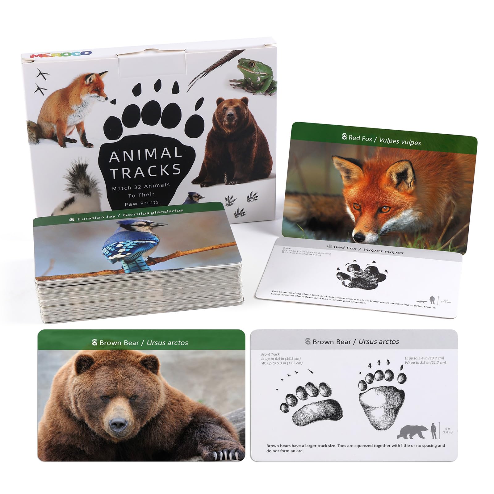 MEROCO Forest Animals Tracks Cards for Kids,Animal Tracks Matching Game Flash Cards,Homeschool Animal Games Kids Learning Educational Toys Preschool