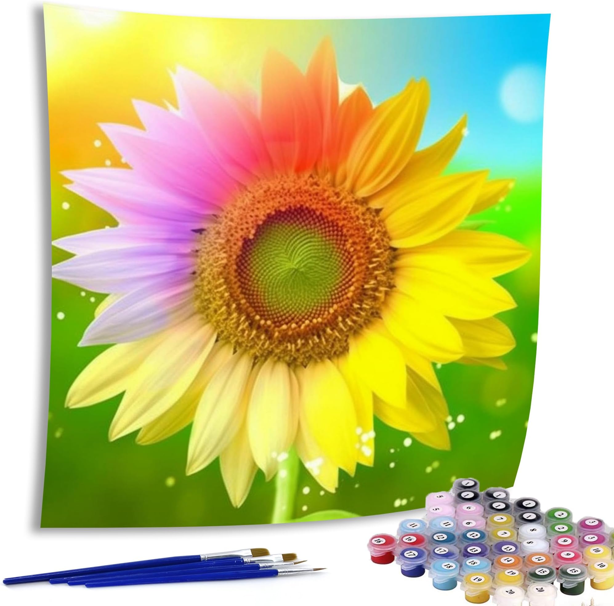 Paint by Numbers for Adults Flower, DIY Oil Painting Sunset Dandelion Acrylic Paint by Number Kits for Kids Adults Beginner for Home Wall Decor 20x20 inch