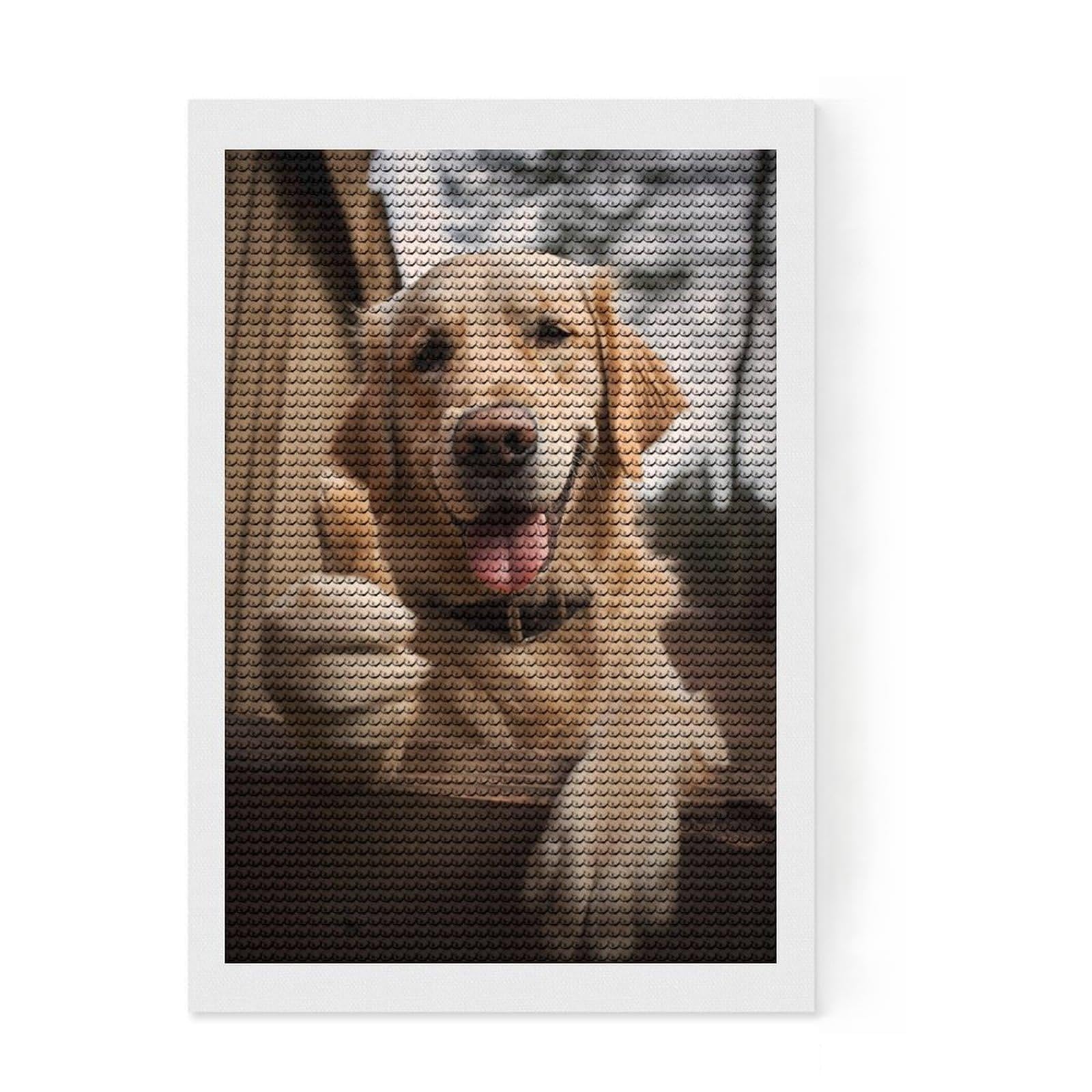Junmoney Labrador Retriever Dog Diamond Painting Kit 8"x12", for Teens, Living Room Decor, Calming Craft to Unwind, Holiday Gift Idea