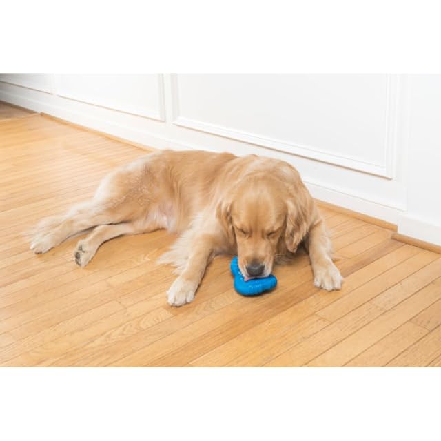 Foto 3 de 8 de PetSafe Pingüino para congelar, Juguete para Perros, para Entretenimiento y Control de Peso
