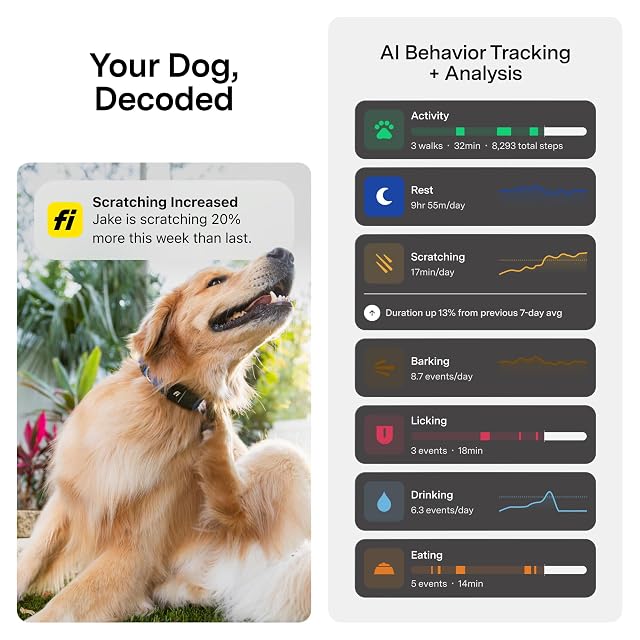Foto 4 de 5 de Fi Collar inteligente para perros de la serie 3+ [membresía de 6 meses incluida] Rastreador GPS para perros…