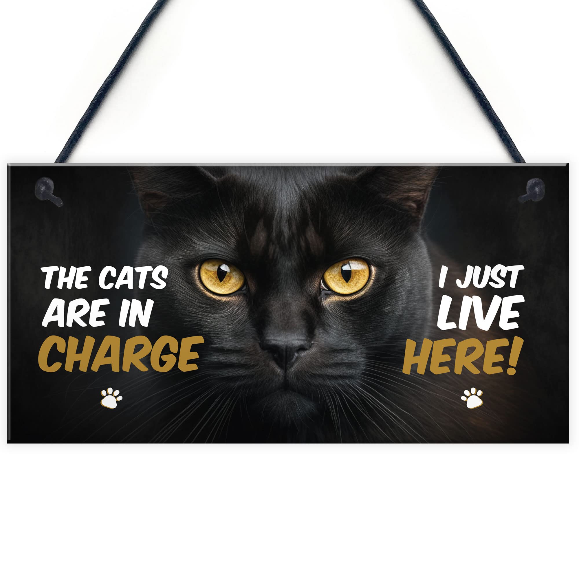 Red Ocean Funny Joke The Cats Are In Charge Cat Gifts For Cat Lovers Hanging Wall Sign Pet Gifts Pet Signs